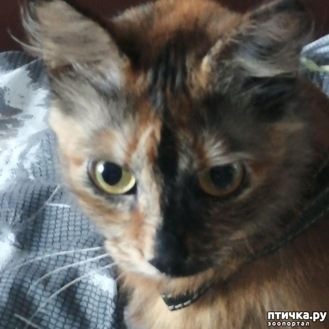 ���� 1: ��� ���� ������� ����:)