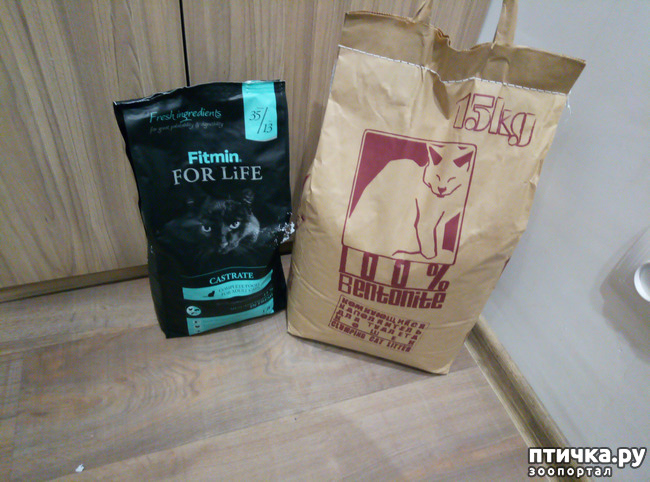 ���� 2: ����� ����� ���������