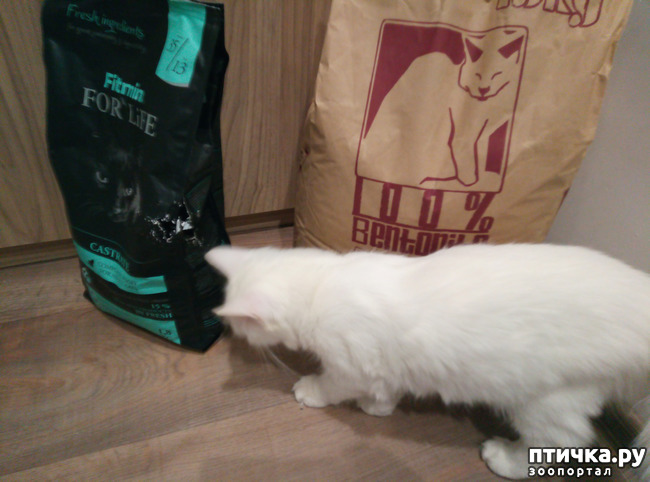 ���� 3: ����� ����� ���������