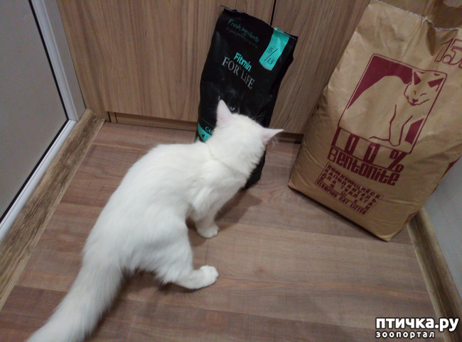 ���� 4: ����� ����� ���������