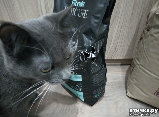 ���� 5: ����� ����� ���������