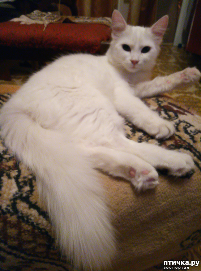 ���� 6: ����� ����� ���������