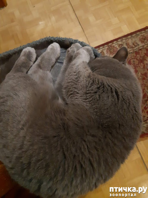 ����: ���� ������?