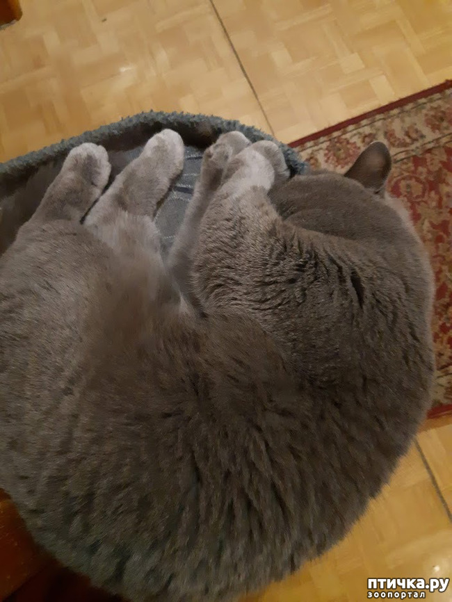 ���� 1: ���� ������?