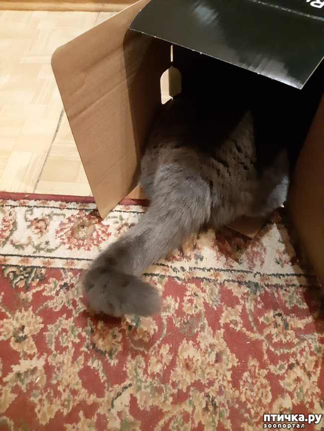 ���� 2: ���� ������?