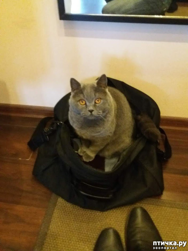 ���� 3: ���� ������?