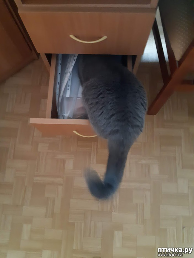 ���� 5: ���� ������?