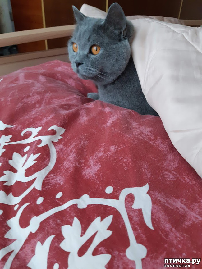 ���� 6: ���� ������?