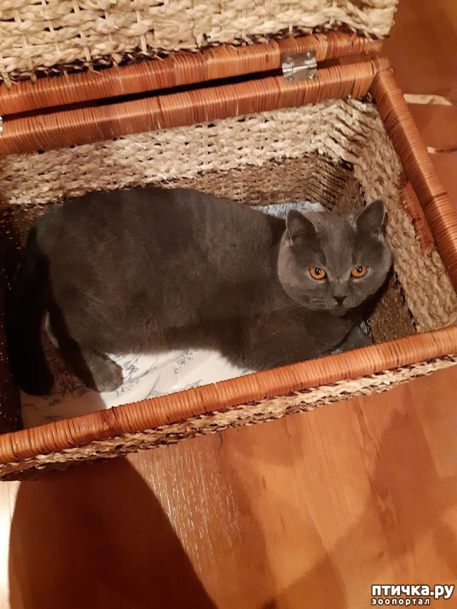 ���� 7: ���� ������?