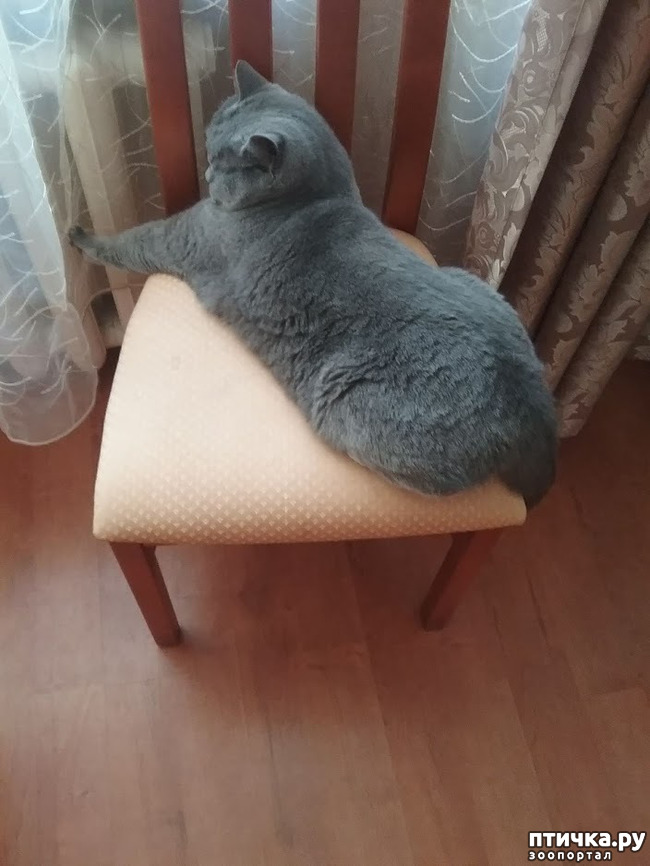 ���� 8: ���� ������?