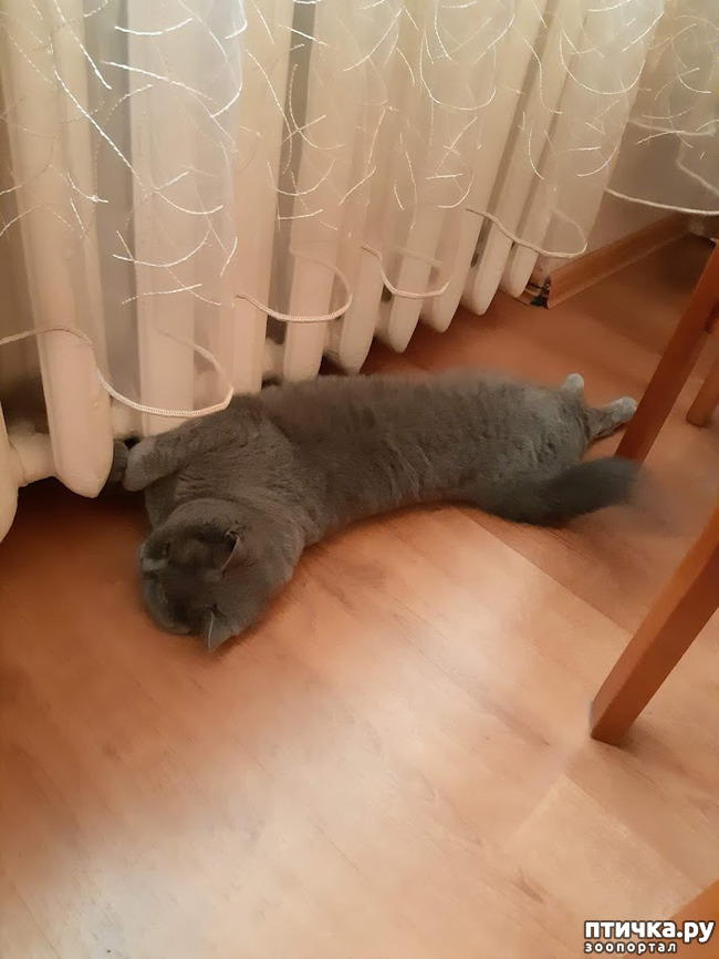 ���� 9: ���� ������?