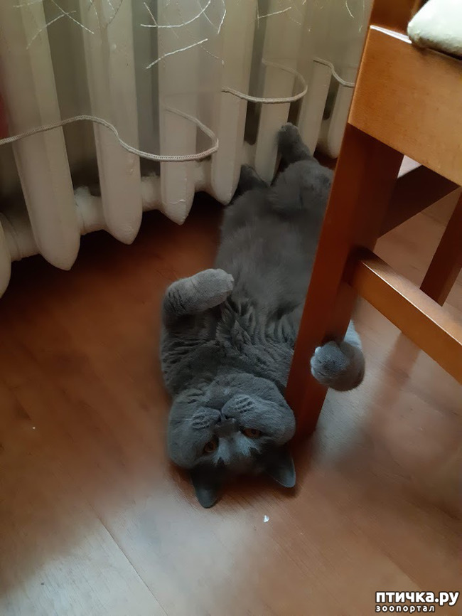 ���� 10: ���� ������?