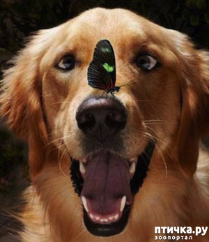 ����: ��� �� ��� �������? 7 �����.