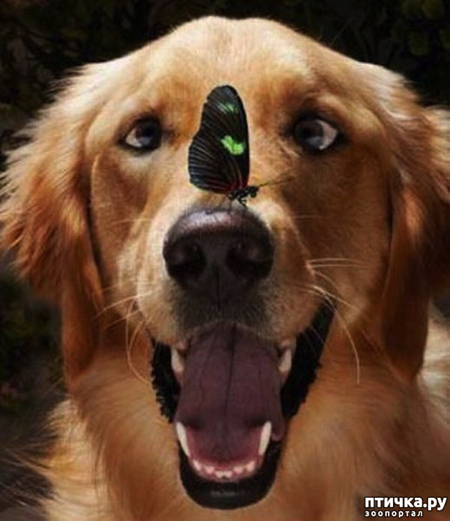 ���� 1: ��� �� ��� �������? 7 �����.