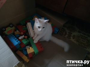 ����: ����� ��������!