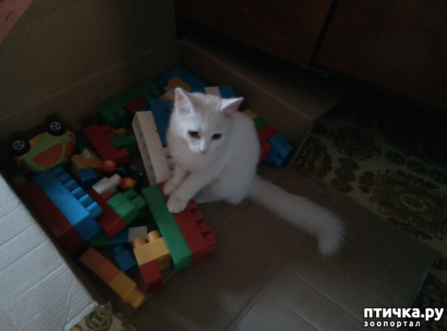 ���� 1: ����� ��������!