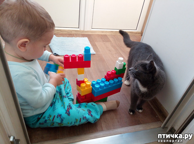 ���� 3: ����� ��������!