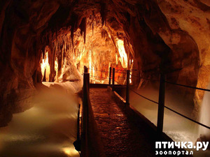 ����: ������� � ��������