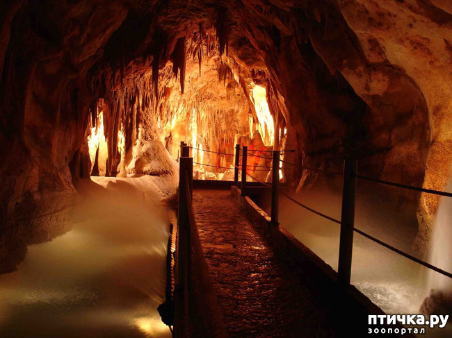 ���� 1: ������� � ��������