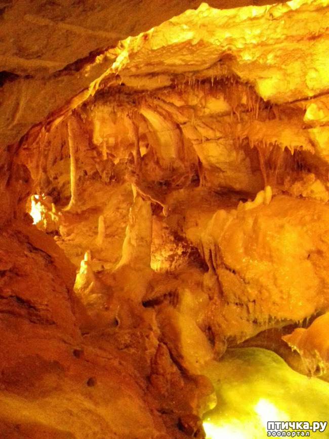 ���� 2: ������� � ��������