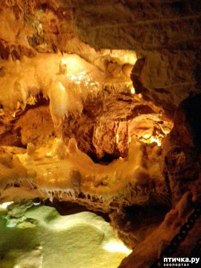 ���� 3: ������� � ��������