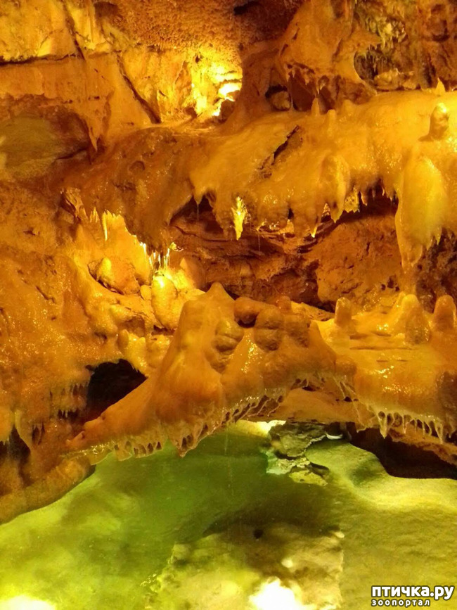 ���� 4: ������� � ��������