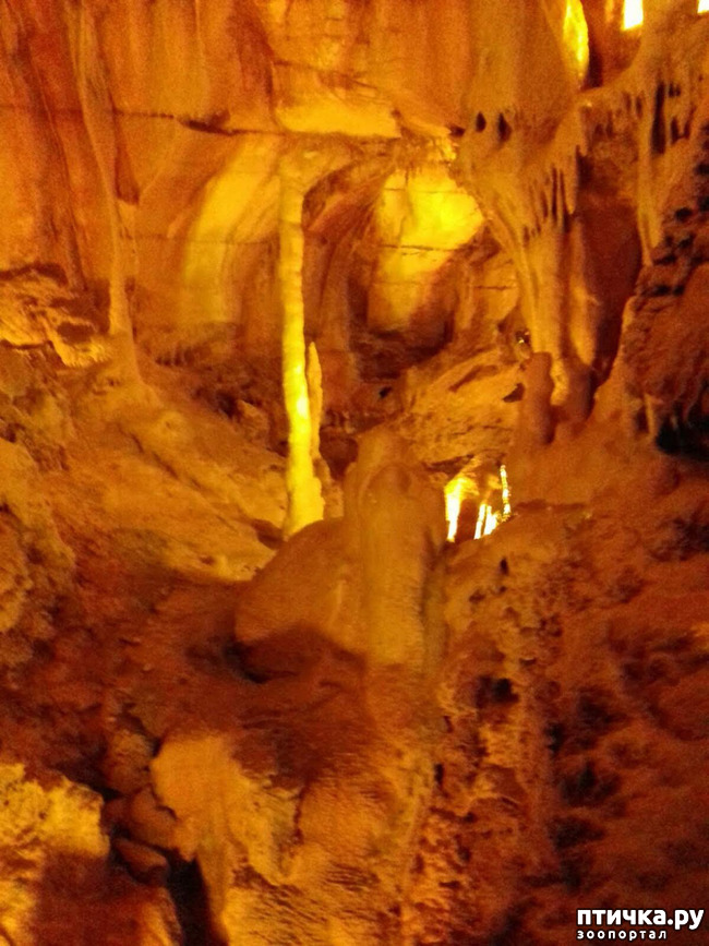 ���� 5: ������� � ��������