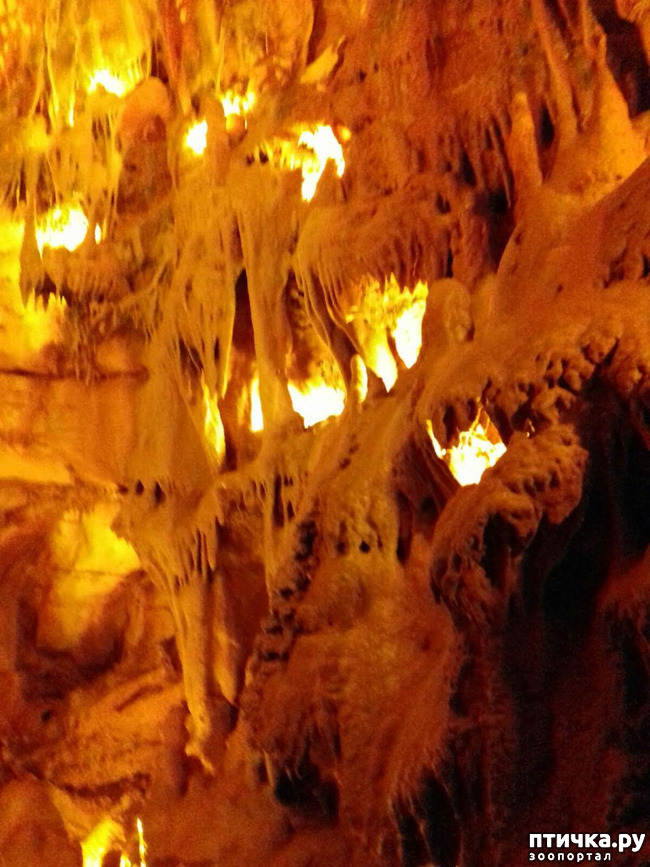 ���� 6: ������� � ��������