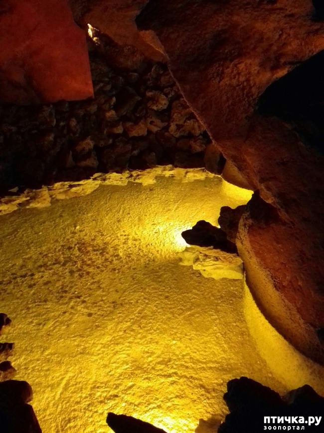 ���� 7: ������� � ��������