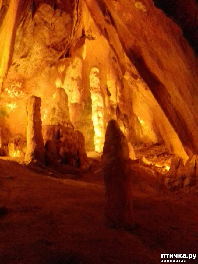 ���� 8: ������� � ��������