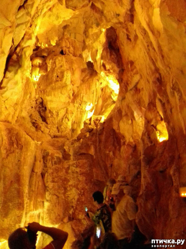 ���� 9: ������� � ��������