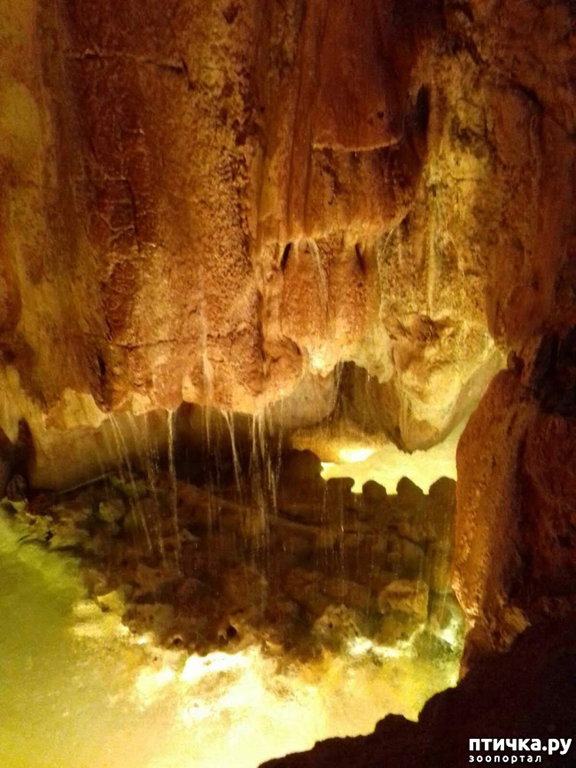 ���� 10: ������� � ��������