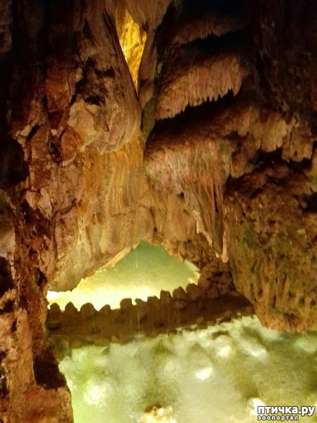 ���� 11: ������� � ��������