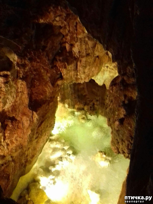 ���� 12: ������� � ��������