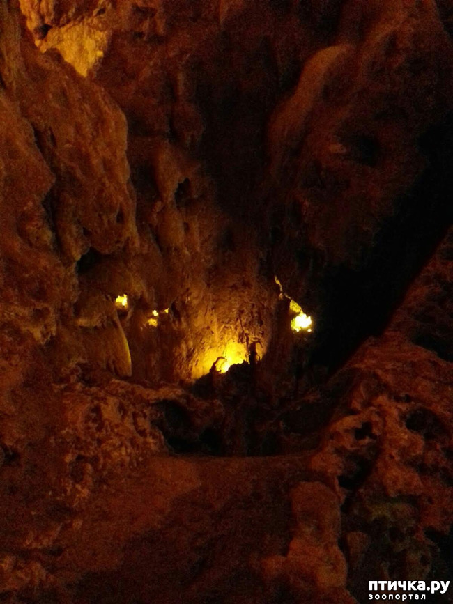 ���� 13: ������� � ��������