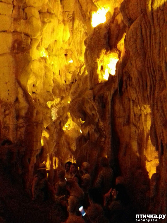 ���� 14: ������� � ��������