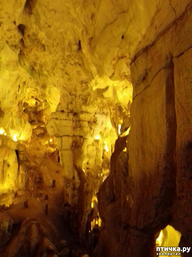 ���� 15: ������� � ��������