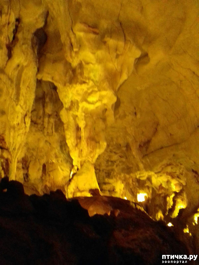 ���� 16: ������� � ��������