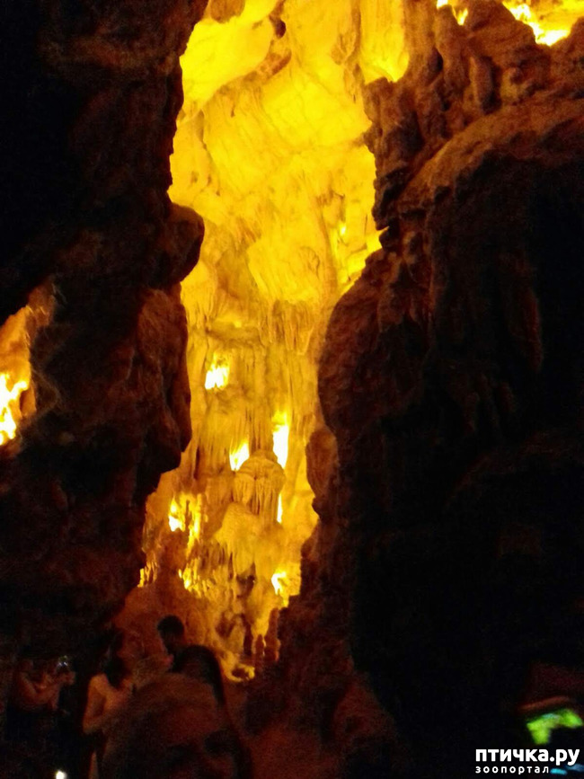 ���� 17: ������� � ��������