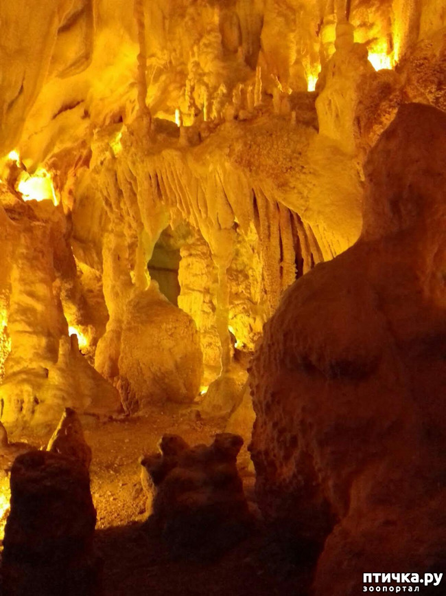 ���� 18: ������� � ��������