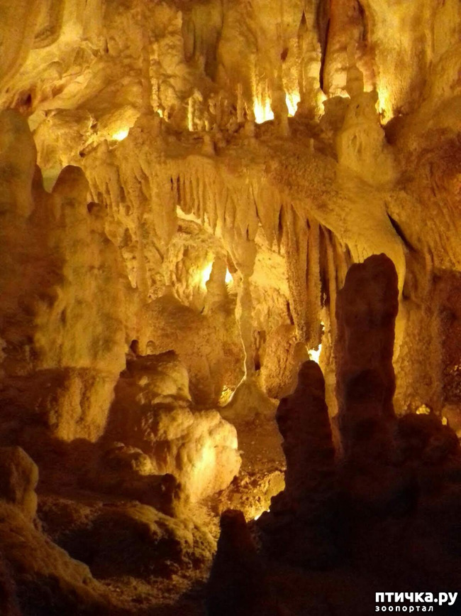 ���� 19: ������� � ��������