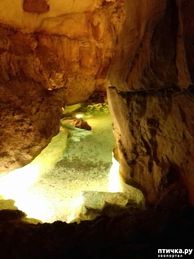 ���� 20: ������� � ��������