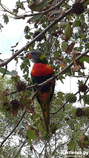 ����: ���� � �����