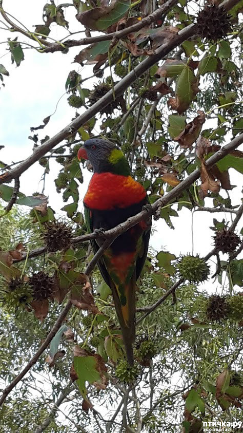 ���� 1: ���� � �����