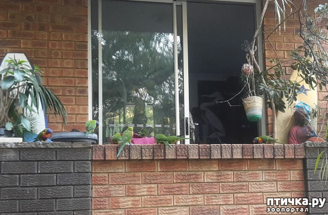 ���� 2: ���� � �����