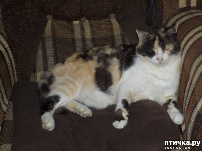 ���� 3: ������ ������� ��������.