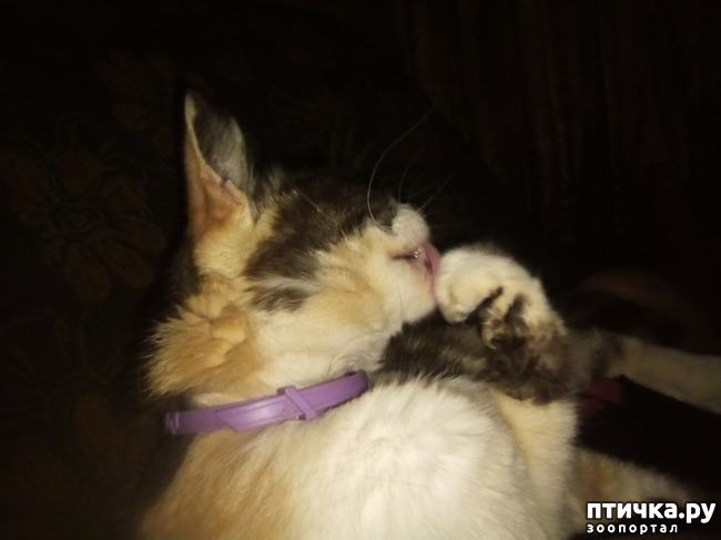 ���� 4: ������ ������� ��������.