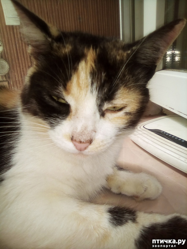 ���� 2: ������ ������� ��������.