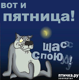 фотография: Что бы это значило? 8 фото: Что бы это значило? 8