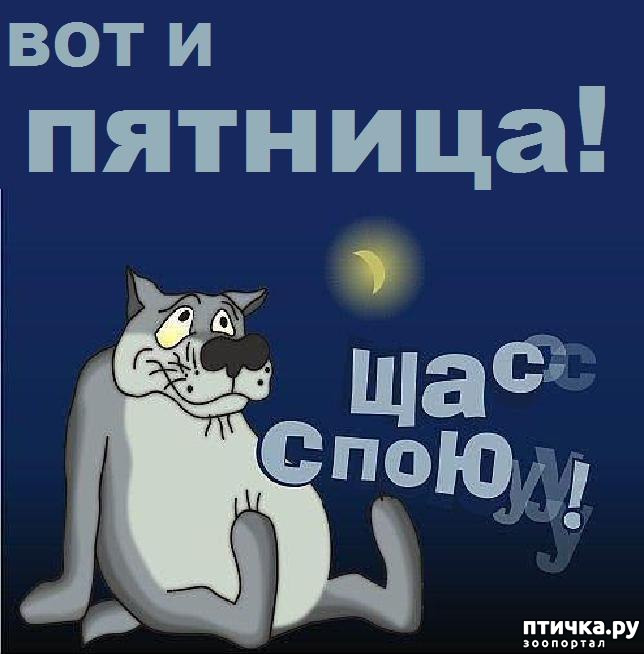 ���� 1: ��� �� ��� �������? 8